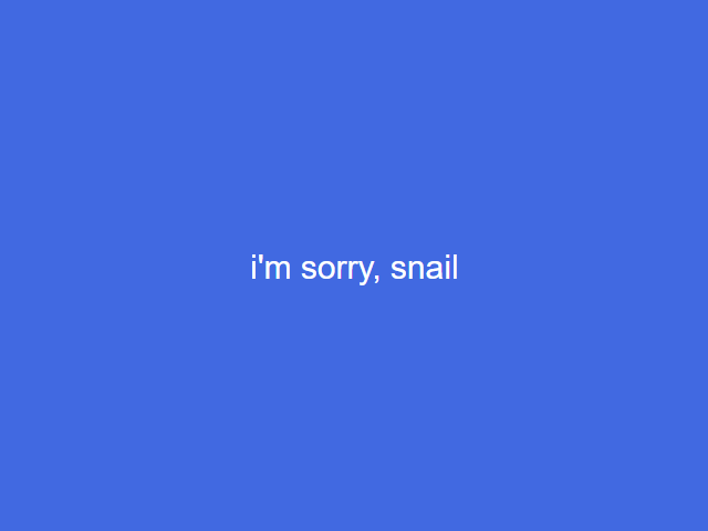 cover of i'm sorry snail, with text i'm sorry snail on blue background