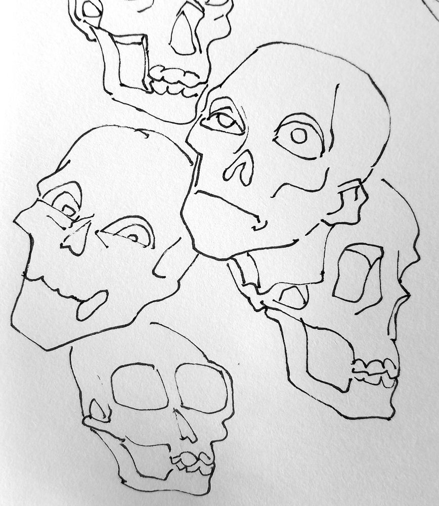 ink on paper drawing of some skulls from various perspectives